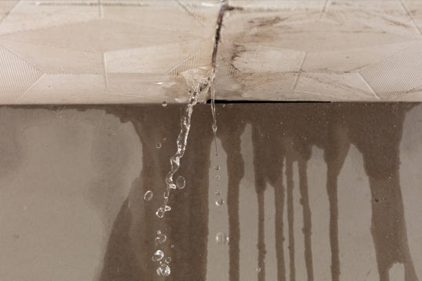 Professional Water Damage Repair technician working in Islip Terrace, NY